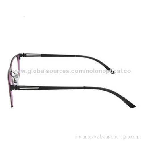 Blue Nylon Optical Frame with Brown Metal Temple